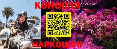 кокс Гай