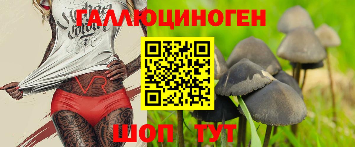 Псилоцибиновые грибы Psilocybine cubensis Черемхово